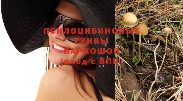 гашик Белоозёрский