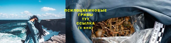 стаф Белокуриха