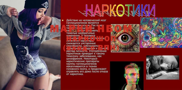 эйфоретик Беломорск