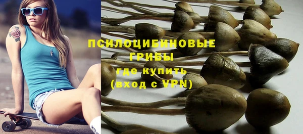 скорость Богданович