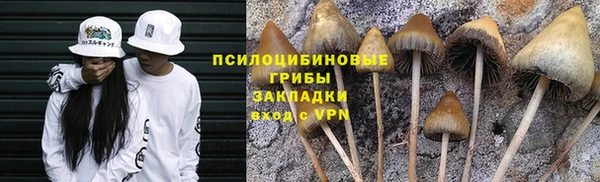 гашик Белоозёрский