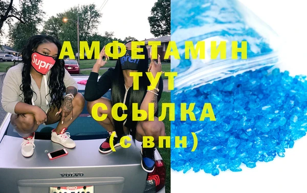 стаф Белокуриха