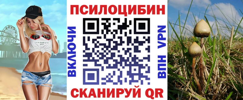 Купить  Куйбышев  Псилоцибиновые грибы мицелий 
